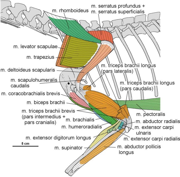 Figure 31