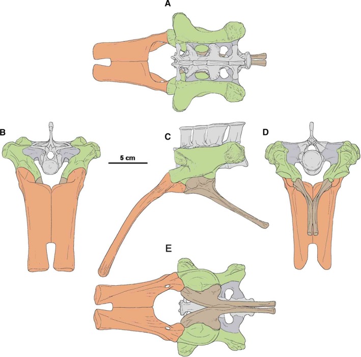 Figure 11