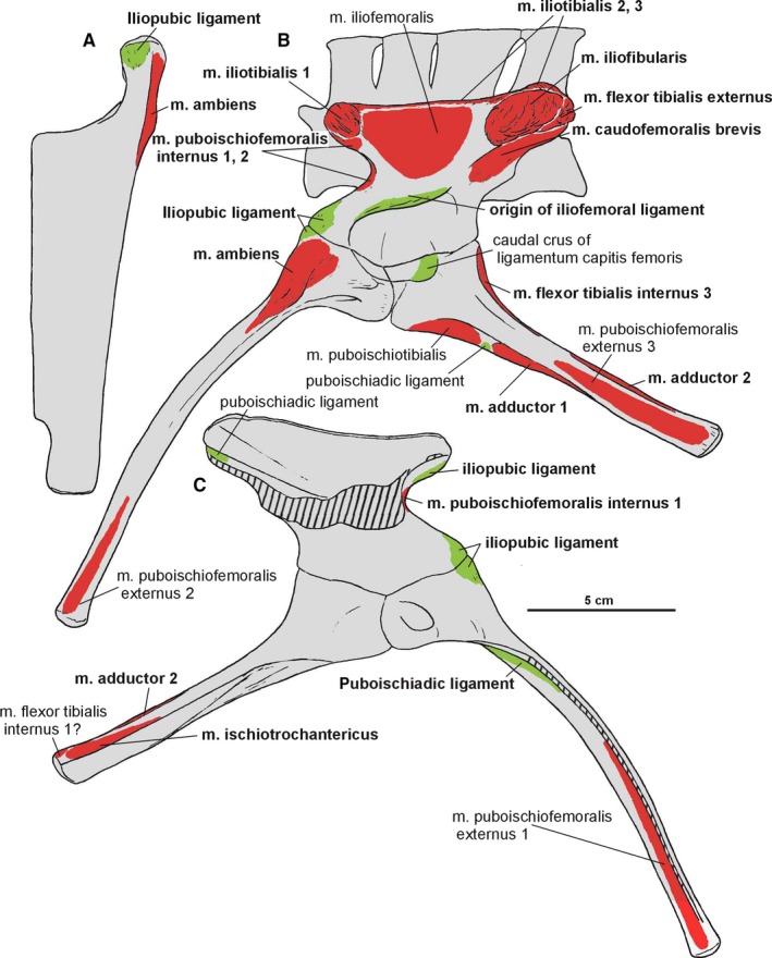 Figure 14