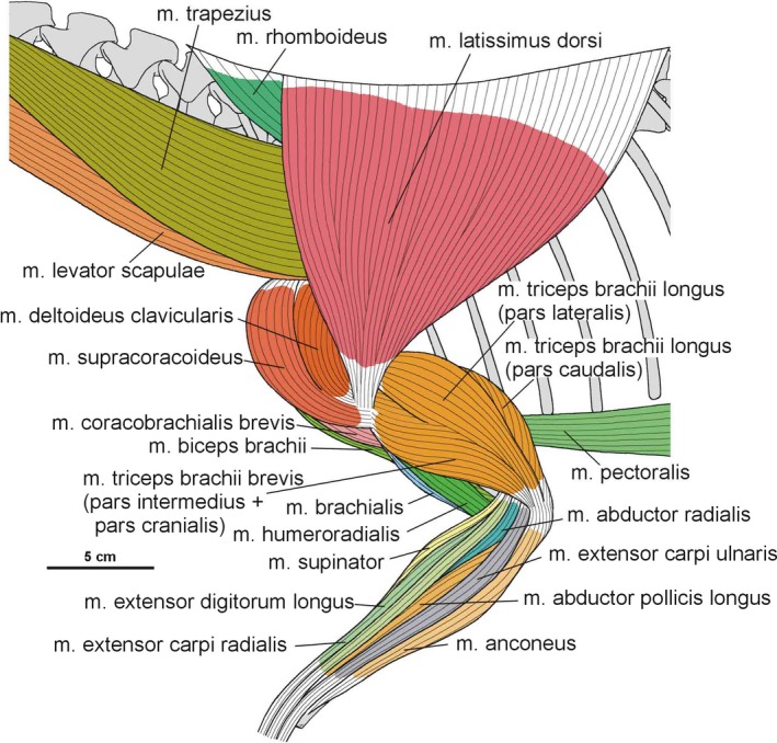 Figure 30