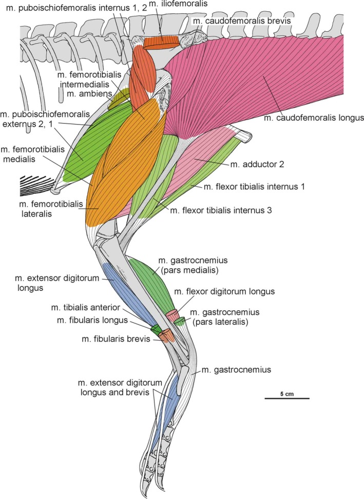 Figure 37