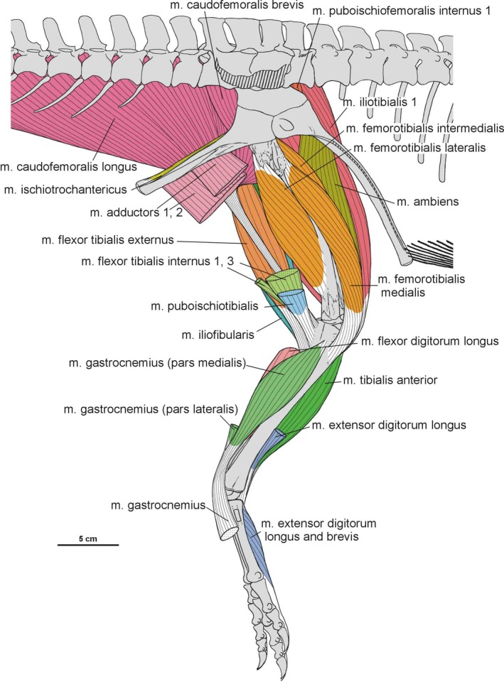 Figure 40