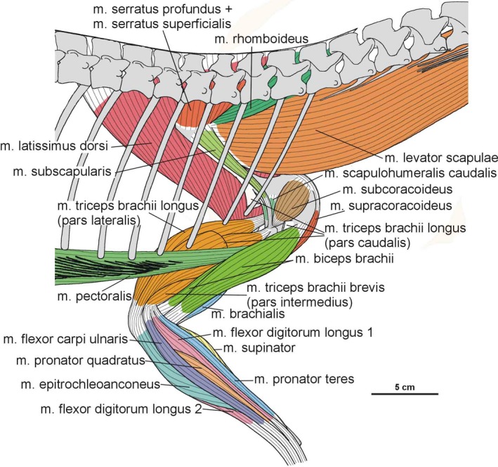 Figure 33