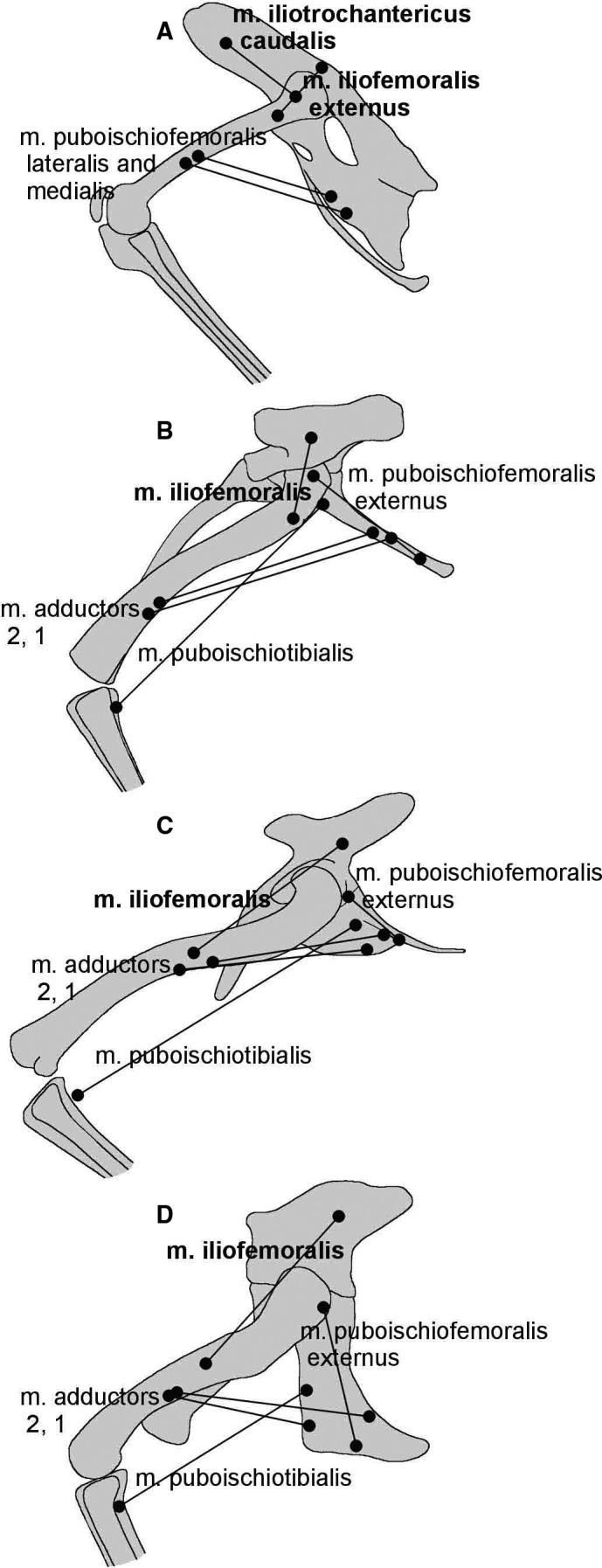 Figure 44