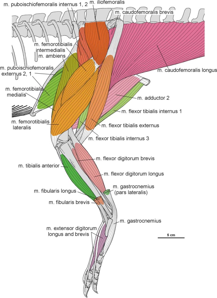 Figure 36