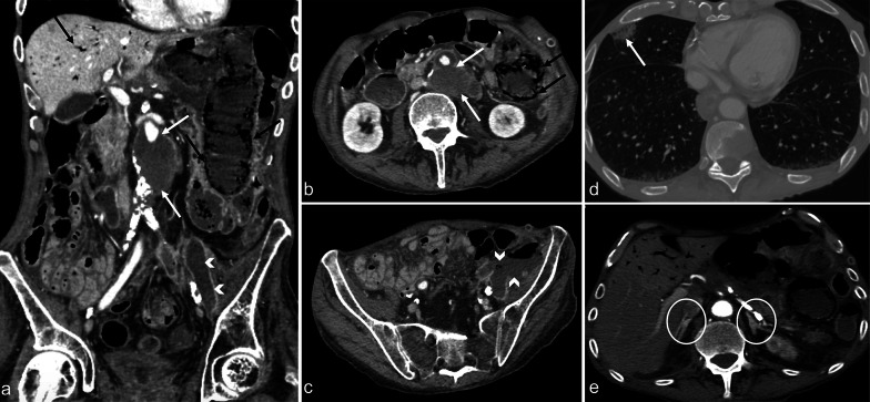 Fig. 9