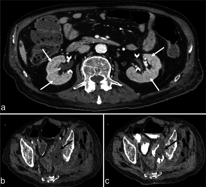 Fig. 8