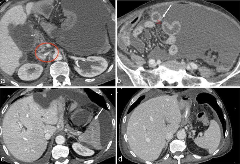 Fig. 2