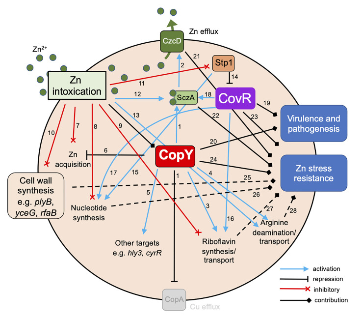 Fig 12