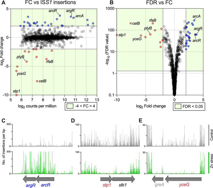 Fig 10