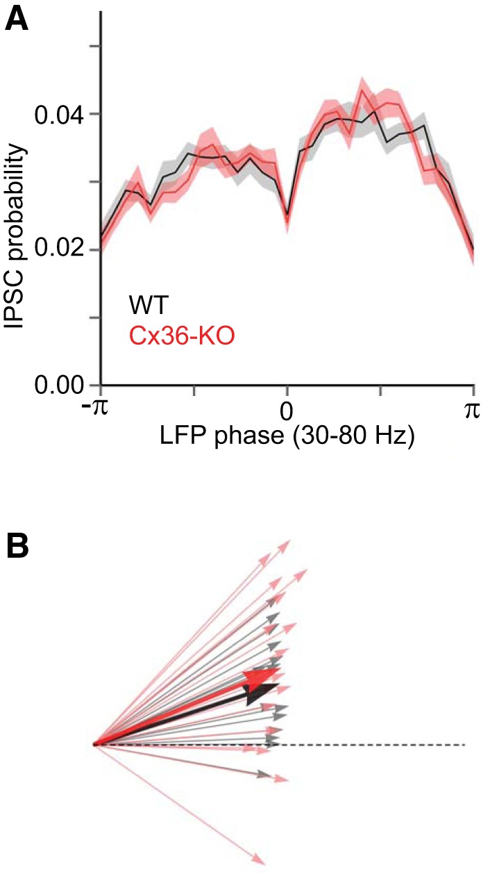 Fig. 11.