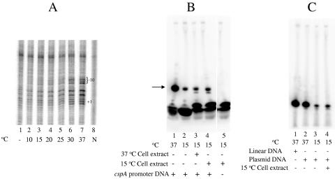 FIG. 5.