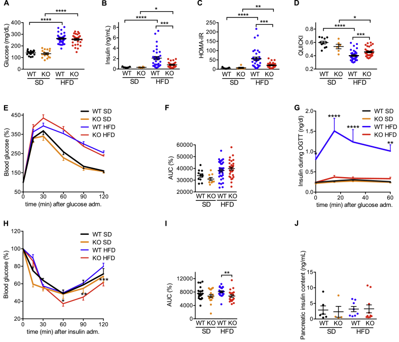 Figure 5