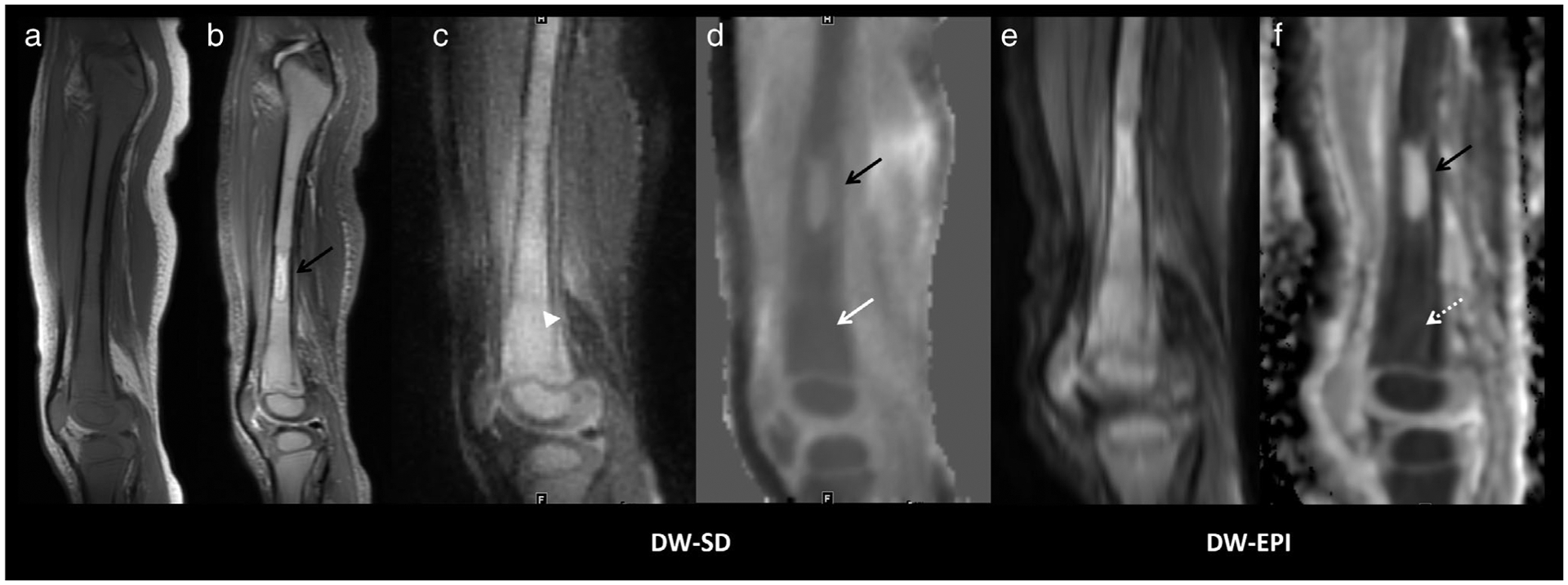 FIGURE 4: