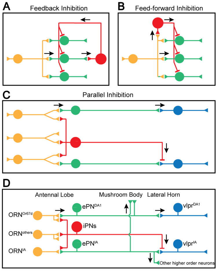 Figure 7