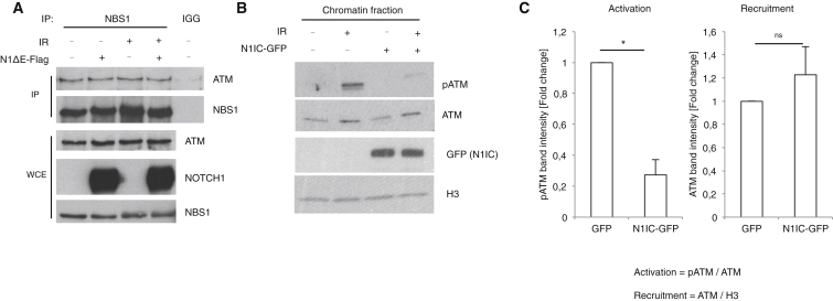 Figure 1