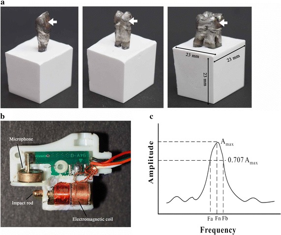 Fig. 1