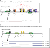 Figure 12.