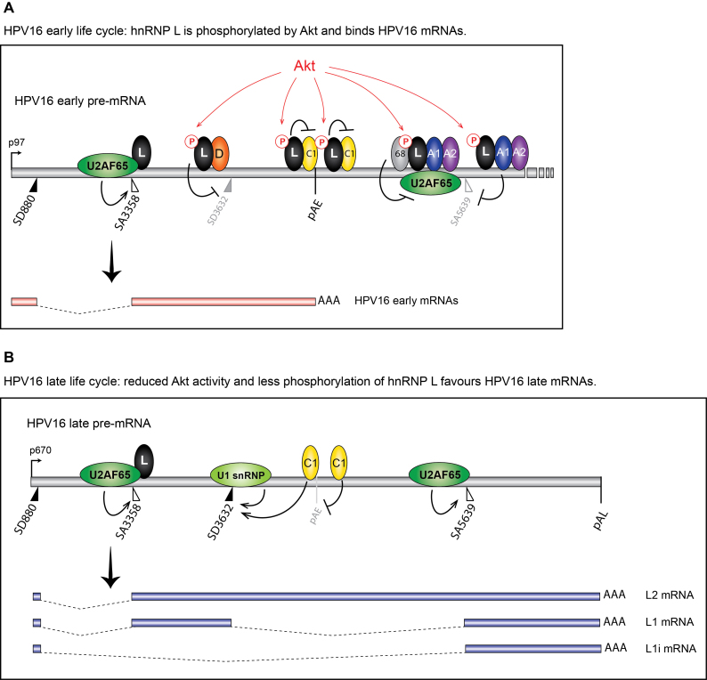 Figure 12.