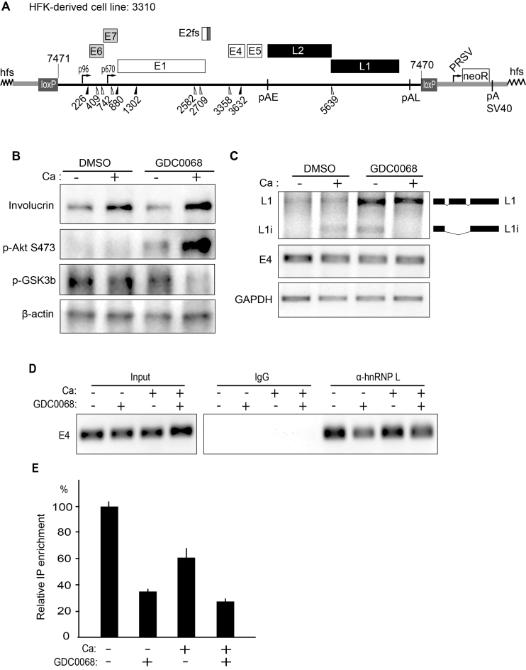 Figure 11.