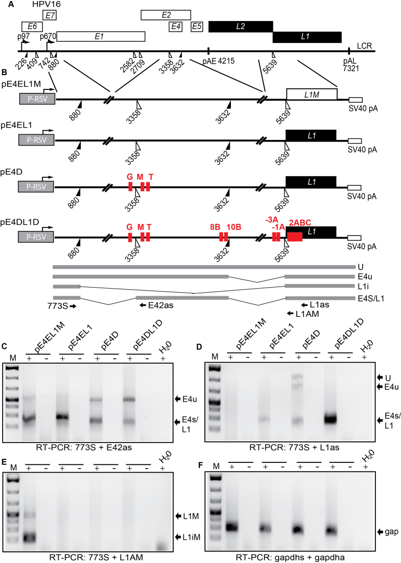 Figure 10.