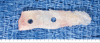 Fig. 9