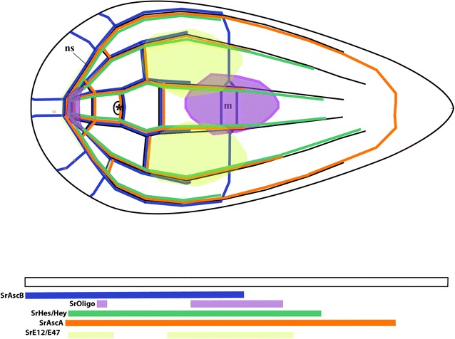 Fig. 8