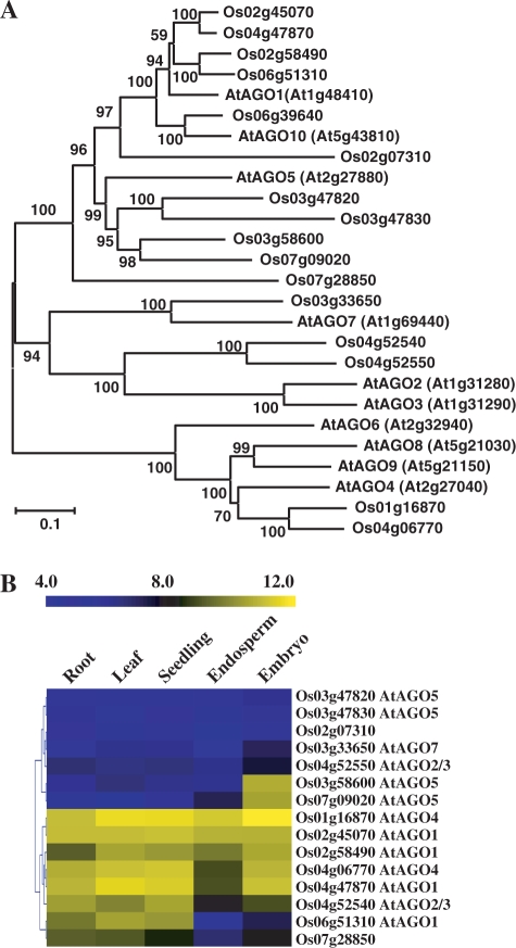 Figure 6.