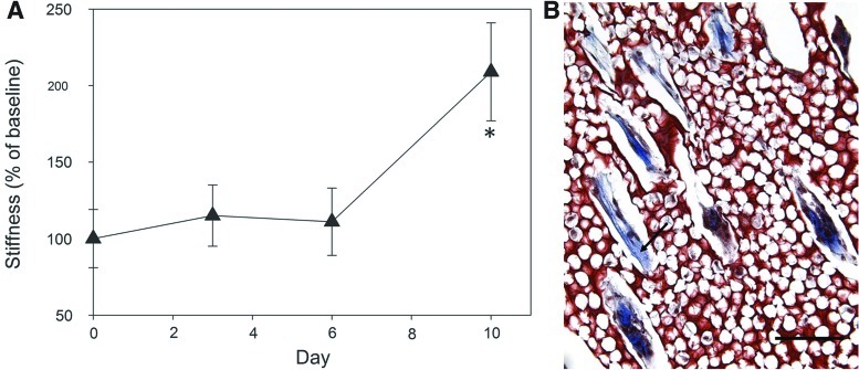 FIG. 8.