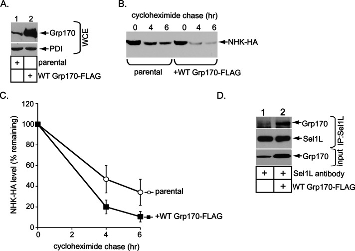 FIGURE 5: