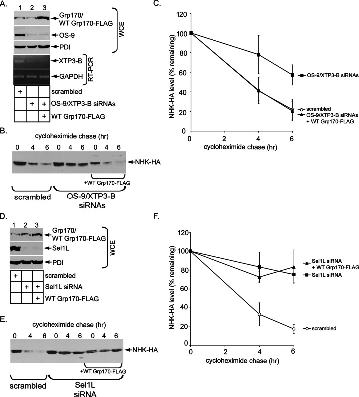 FIGURE 6: