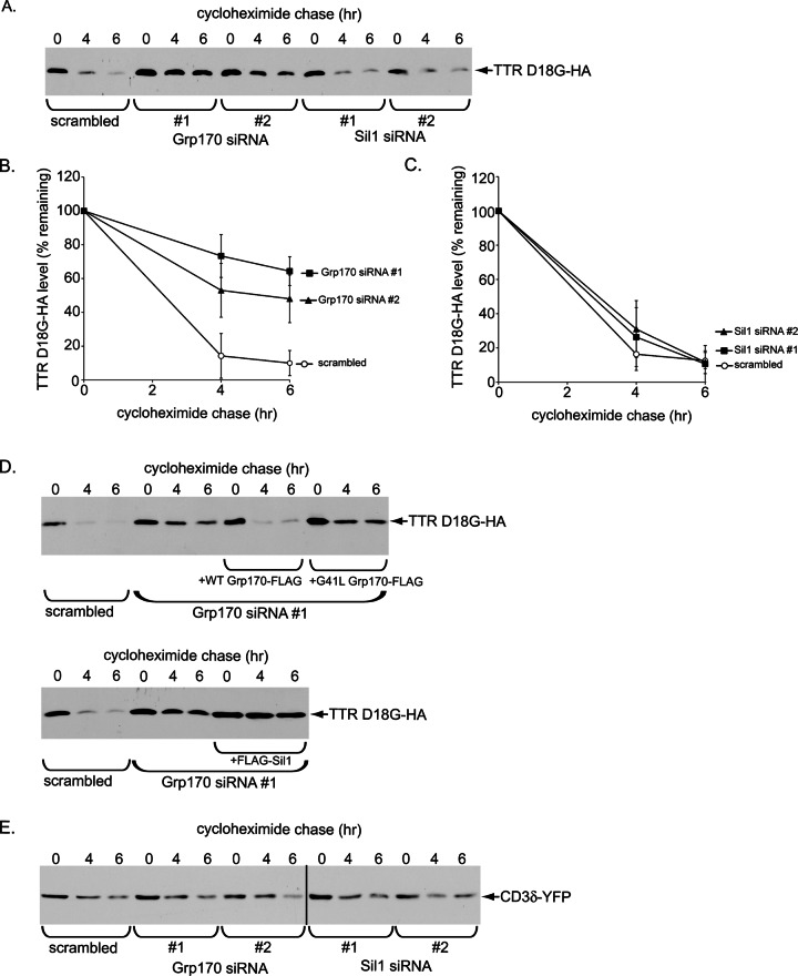 FIGURE 7: