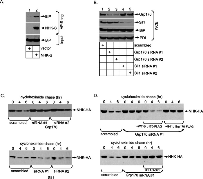 FIGURE 1: