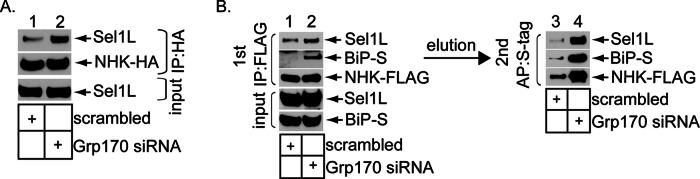 FIGURE 4: