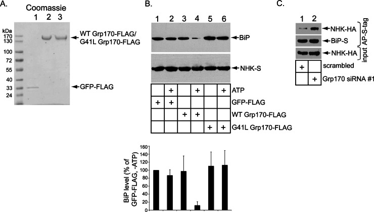 FIGURE 2: