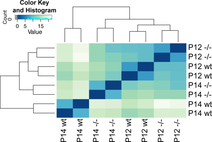 Figure 6—figure supplement 1.