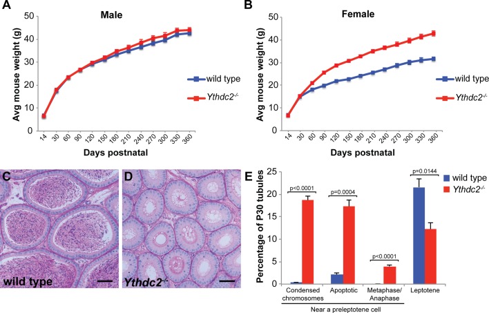 Figure 2—figure supplement 2.