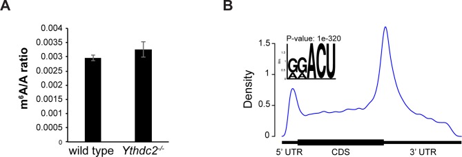 Figure 8—figure supplement 2.