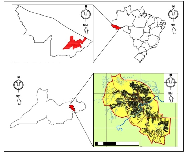 FIGURE 1: