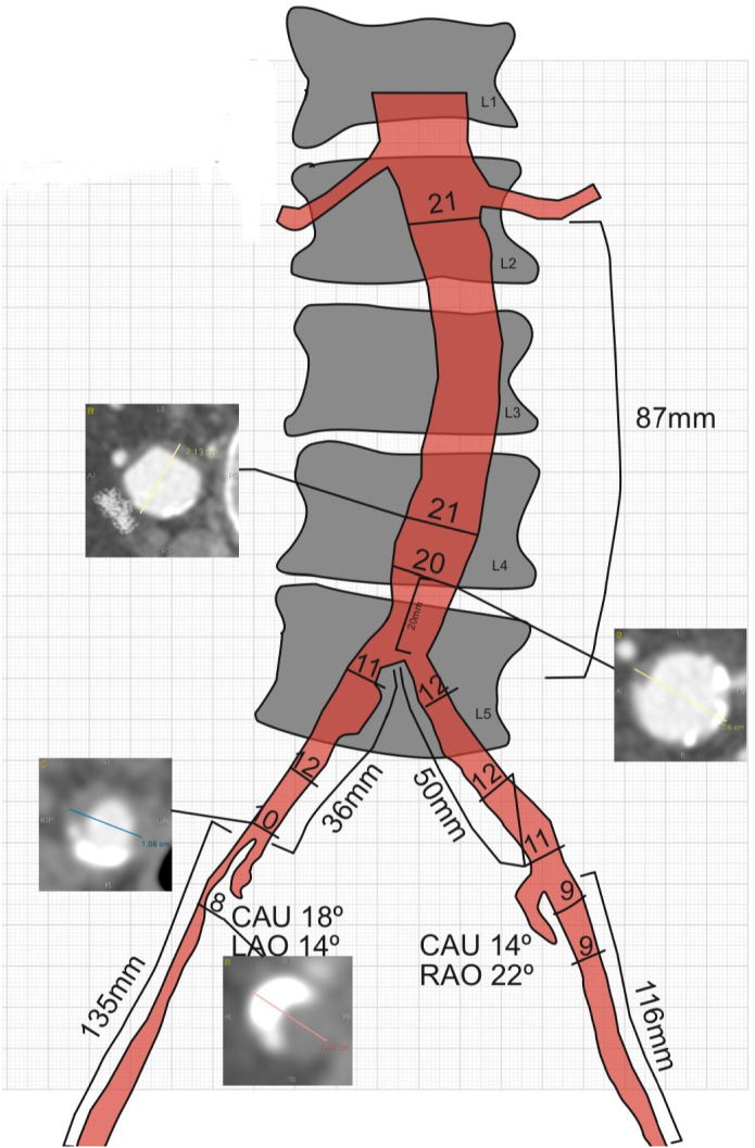 Fig. 3