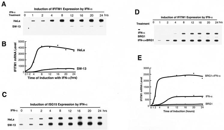 FIG. 4.