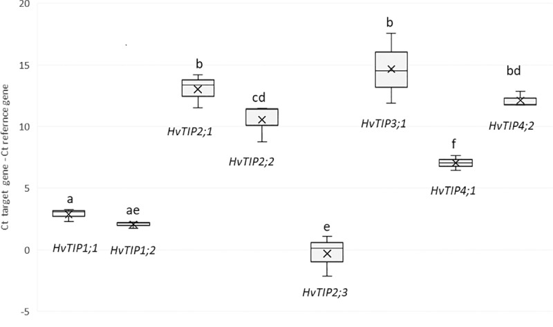 Fig 6