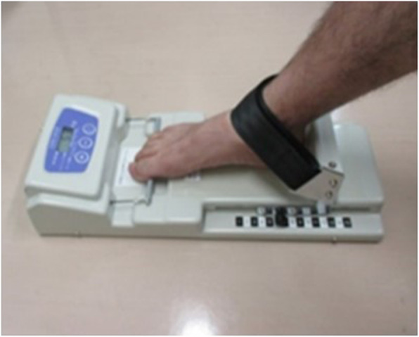 Fig. 1