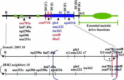 Figure 4.—