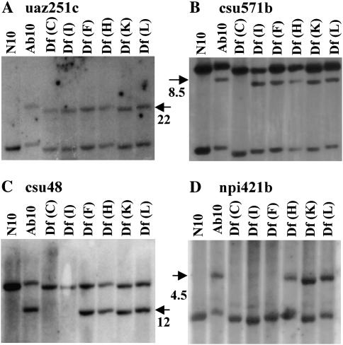 Figure 3.—