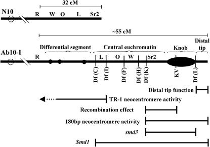 Figure 1.—