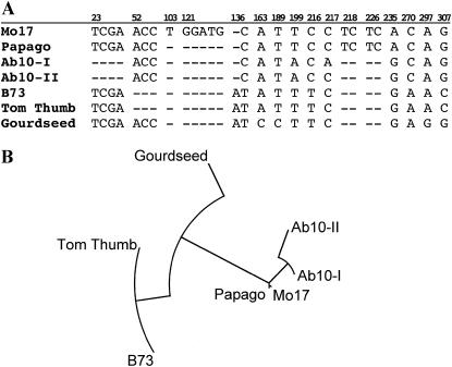 Figure 7.—