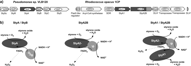 FIG. 2.