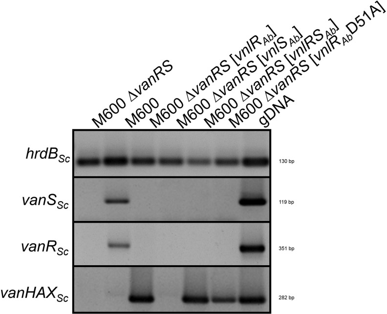 FIG. 5.