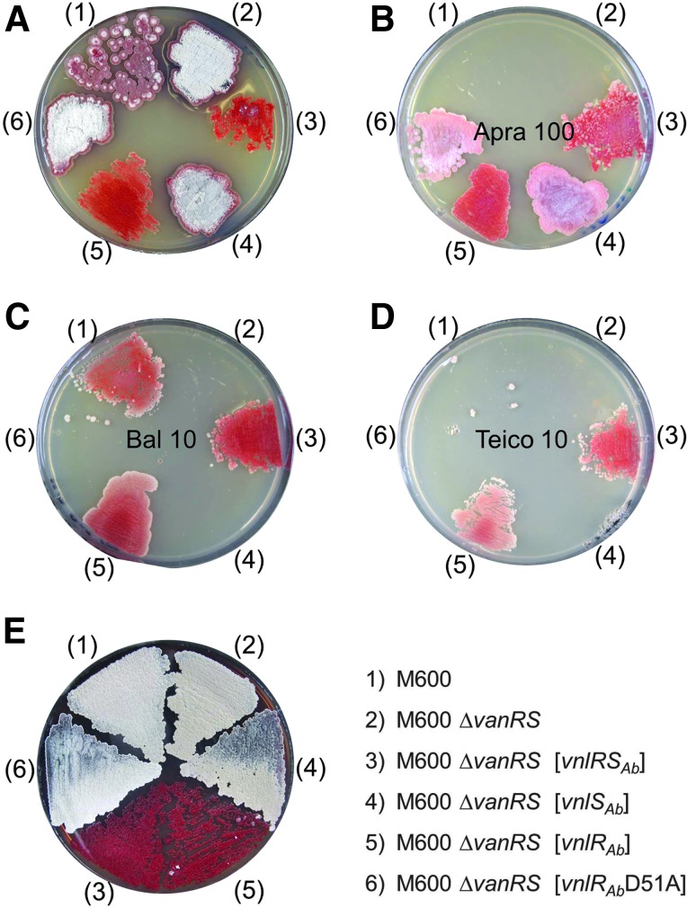 FIG. 4.